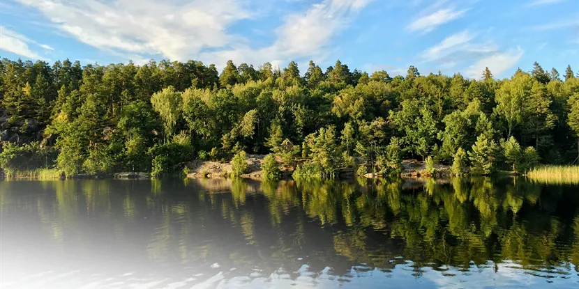 Nacka: Upplev skärgårdspärlan vid Stockholms port