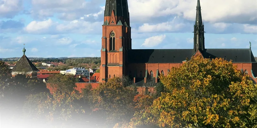 Upptäck Uppsalas charm: En guide till stadens historia, kultur och shopping