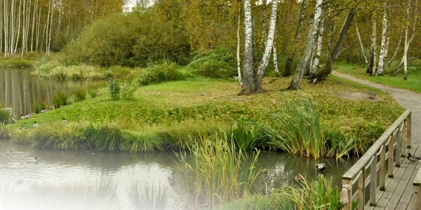 Huddinge: Upplev storstadspuls och naturnära charm